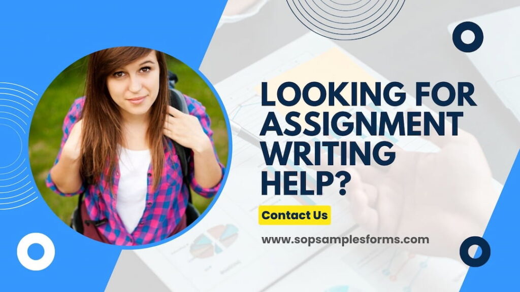 Professional Assignment Writer